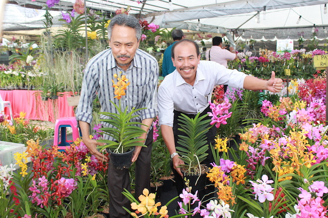 Ketua Pengarah FAMA Datuk Ahmad Ishak (kiri) bersama Ketua Setiausaha Kementerian Pertanian dan Industri Asas Tani, Datuk Seri Dr Ismail Bakar menunjukkan tumbuhan bunga orkid liar pada wartawan