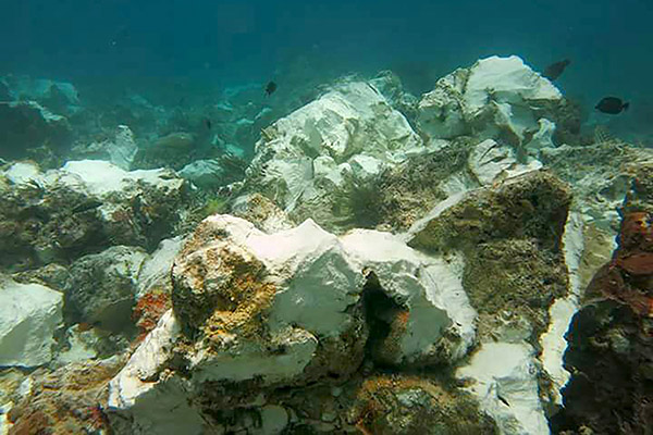  Gambar serahan Agensi Keselamatan Marin Indonesia yang dirakam Isnin lalu menunjukkan terumbu karang yang terjejas di Raja Ampat, timur Indonesia. — Gambar AFP