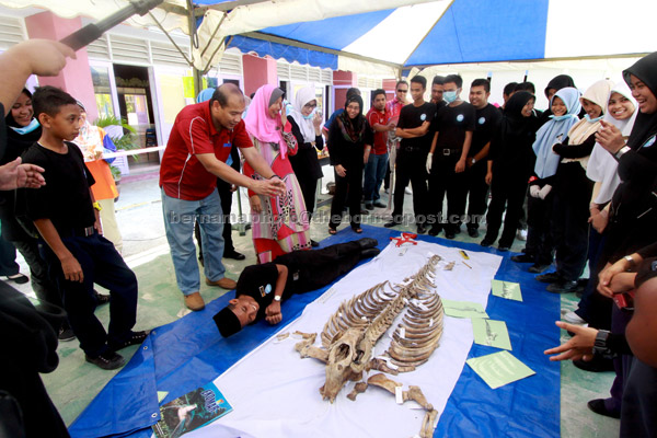  Pelajar Sekolah Menengah Kebangsaan (SMK) Mersing terlibat dengan aktiviti cantuman tulang dugong bagi membentuk susuk tubuh haiwan itu semasa Karnival Konservasi Hidupan Marin baru-baru ini. — Gambar Bernama