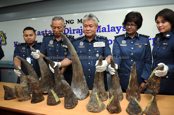  Pengarah Kastam KLIA Datuk Hamzah Sundang menunjukkan 18 batang tanduk Badak Sumbu bernilai lebih RM13 juta yang dirampas di Kargo Udara KLIA dekat Sepang pada 7 April lalu. — Gambar Bernama