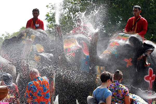  Gajah menyembur pelancong dengan air semasa perayaan Festival Air Songkran di wilayah Ayutthaya, utara Bangkok, kelmarin. — Gambar Reuters