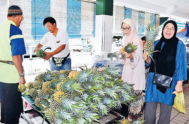  Rosnah (dua kanan) bersama ahli keluarga memilih nanas untuk dibeli.