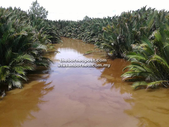  Sungai di mana kejadian tersebut dilaporkan berlaku.