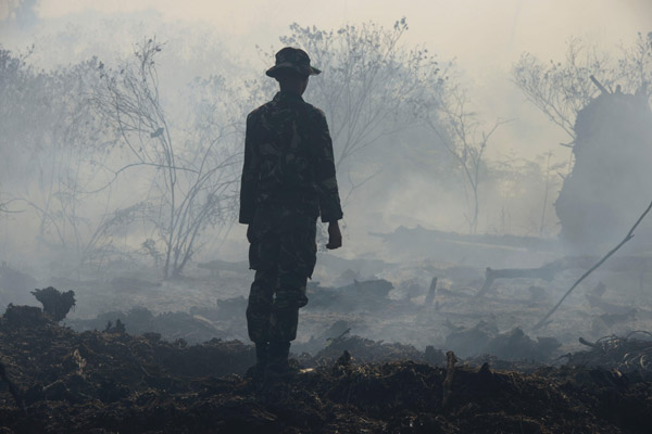  Anggota tentera Indonesia memeriksa sebahagian daripada kawasan hutan tanah gambut di Meulaboh, wilayah Aceh yang terbakar kelmarin. — Gambar AFP