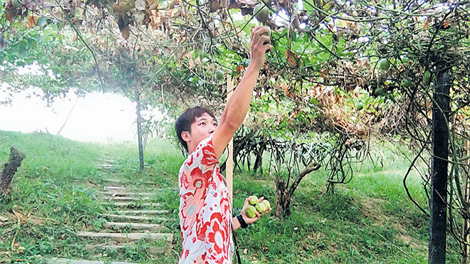  Aktiviti memetik buah markisa untuk pengunjung di ladang Shangrila.