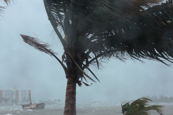  Pokok palma bergoyang ketika Taufan Irma membadai pulau-pulau tropika di Caribbean kelmarin. — Gambar Reuters