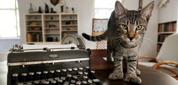  Salah seekor daripada lebih 50 kucing enam jari keturunan kucing jantan bernama Snow White milik Hemingway pada 1930-an dalam gambar tidak bertarikh di Muzium Rumah Hemingway di Key West, Florida. — Gambar Reuters