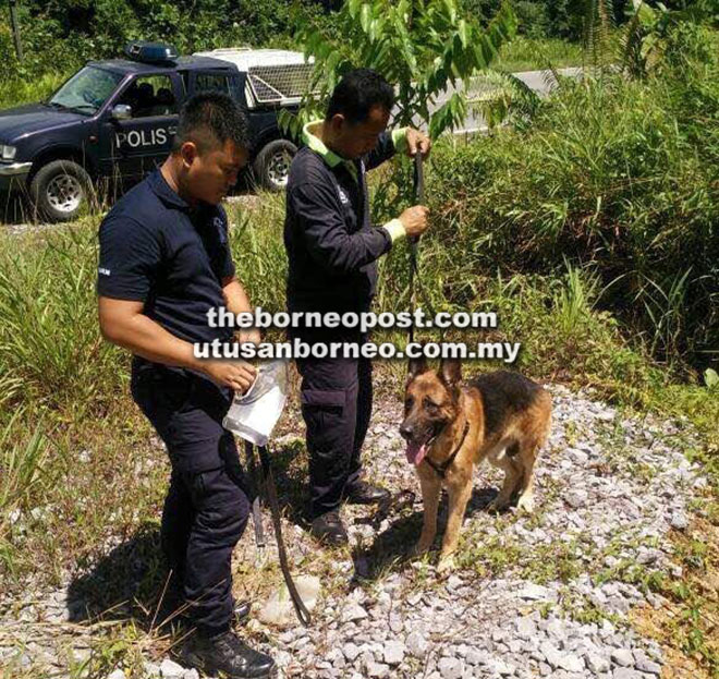 ‘Zou Lin’ bersama pengasuhnya Koperal Saga Giang serta seorang lagi anggota tiba di lokasi untuk menangkap suspek.