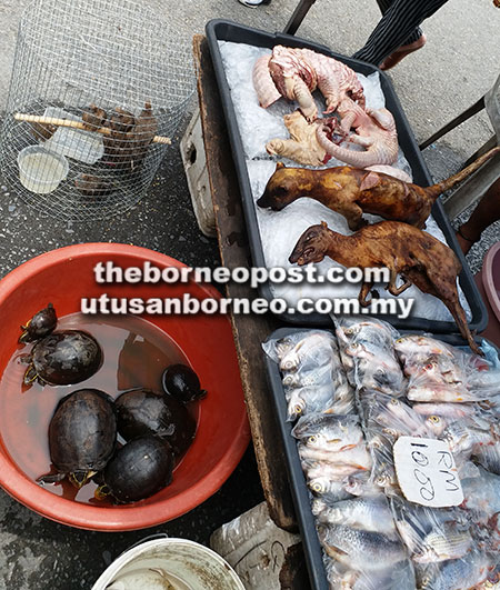  Tenggiling yang dipotong bahagian badannya dan musang yang dipanggang dijual di sebuah pasar minggu di Miri manakala beberapa ekor kura-kura masih hidup diletakkan dalam besen. 