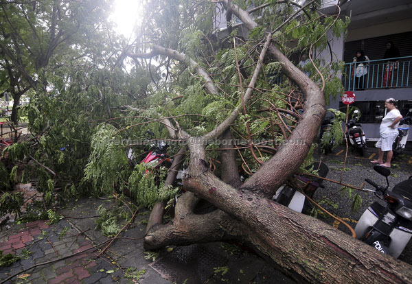  Sebatang pokok tumbang menghempap motosikal yang diparkir berhampiran berikutan hujan lebat serta ribut di Jelutong awal pagi semalam. — Gambar Bernama