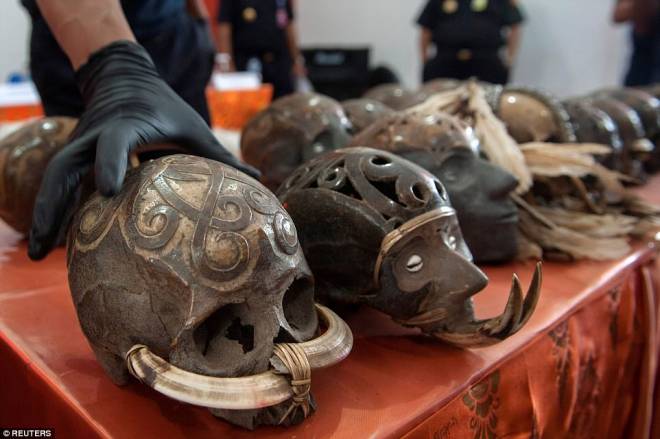 Pegawai kastam mempamerkan sebahagian daripada 24 tengkorak manusia, dipercayai dari Papua dan Kalimantan, selepas mereka menghentikan cubaan menyeludup keluar ke Netherlands. - Foto Reuters