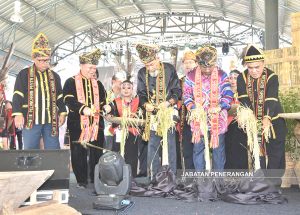 JUHAR diiringi Pairin (dua dari kiri) dan Musa (dua dari kanan) menuai padi sebagai simbolik pelancaran pesta itu.