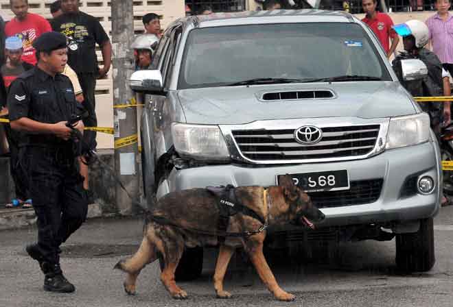  Anjing pengesan dari Unit K9 melakukan pemeriksaan di sekitar kawasan seorang lelaki berusia 22 tahun yang ditembak di Jalan Sentosa, Bukit Mertajam, semalam. — Gambar Bernama