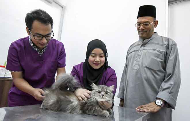  Khalid (kanan) melihat Pengurus Vet O Vet Kota Bharu Dr Hafizie Mahadi (kiri) melakukan pemeriksaan kesihatan ke atas seekor kucing pada Hari Bertemu Vet Dr Kucing dan Beraya Bersama Si Comel di Wisma Bakti, Pengkalan Chepa di Kota Bharu baru-baru ini. — Gambar Bernama