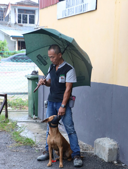 Hujan renyai tidak mematahkan semangat pemilik anjing untuk mendapatkan vaksin anti rabies untuk haiwan peliharaannya.