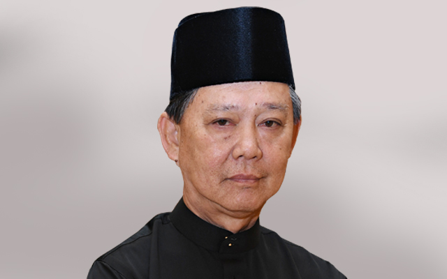 MOHAMADDIN KETAPI