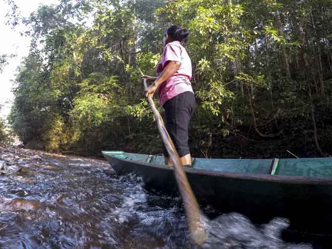  Wanita Sungai Mujok membesar dengan pengangkutan tradisional dan mereka cekap mengendalikan sampan termasuk cara menolak sampan. — Gambar Bernama