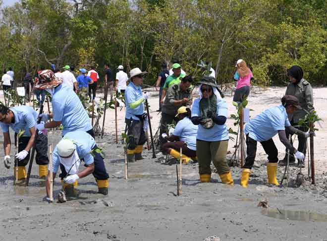  Para peserta melakukan aktiviti penanaman pokok bakau sempena Sambutan Hari Hutan Antabangsa Dan Hari Konservasi Ekosistem Hutan Paya Laut Antarabangsa Peringkat Kebangsaan Tahun 2018 bertemakan ‘Hutan Untuk Kesejahteraan Masyarakat’ di Hutan Simpan Kuala Bernam, Sungai Haji Dorani, Sabak Bernam semalam. — Gambar Bernama