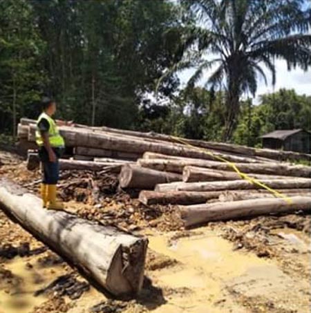 ayu balak pelbagai saiz yang dirampas oleh PPM Wilayah 5, di Jalan Bintulu-Bakun, pada Rabu.