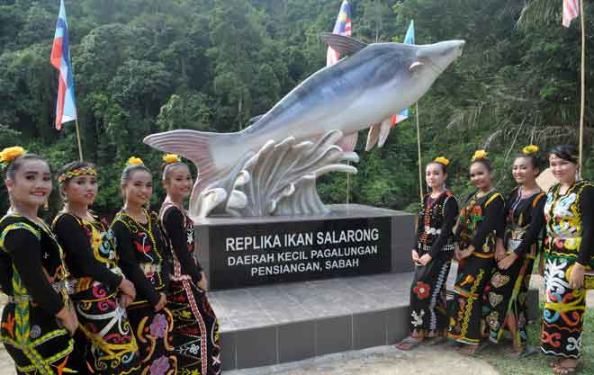  (Dari kiri), Anjilah Himbulan, Trina Tai, Anesah Ebit, Minah Himbuan (Kanan) Suzan Himbulan, Chairika Raiki, Eliisia Joanease dan Veronica Ming merakam gambar di hadapan replika gergasi ikan salarong atau patin muncung yang diabadikan sebagai mercu tanda Pejabat Daerah Kecil Pagalungan. — Gambar Bernama