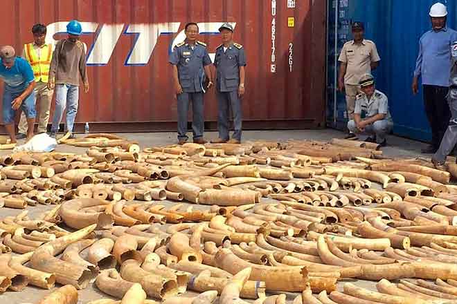  Gambar fail Khamis lalu menunjukkan pegawai kastam bersama gading hasil rampasan dari sebuah kontena perkapalan di pelabuhan Phnom Penh. — Gambar AFP