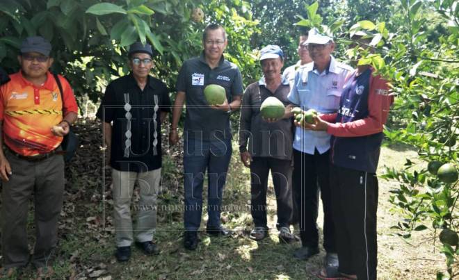  Abdullah (tiga kiri) bersama pemimpin akar umbi ketika berkunjung ke kebun limau di Kampung Penipah.