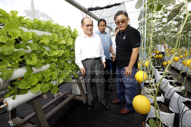  Uggah diiringi Pengarah Lotus Farm Agritech Sdn Bhd Fabian Ng (kanan) dan Menteri Muda Pertanian Dr Abdul Rahman Ismail (tengah) melawat rumah hijau di mana golden melon iaitu produk terkenal Lotus Farm ditanam.