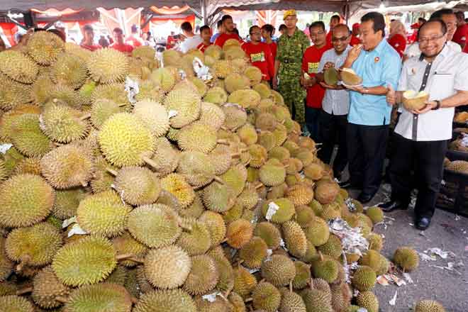  Azman (dua kanan) bersama Eliyas (tiga kanan) menikmati durian Musang King sempena Pesta Durian 2019 di pekarangan Stadium Darulaman, Alor Setar, semalam. — Gambar Bernama