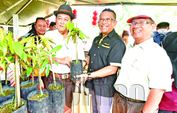SHAHRIL (tengah) bersama Aidi (kiri) menunjukkan bibit pokok durian musang king yang ditanam di Kg Kelatuan.