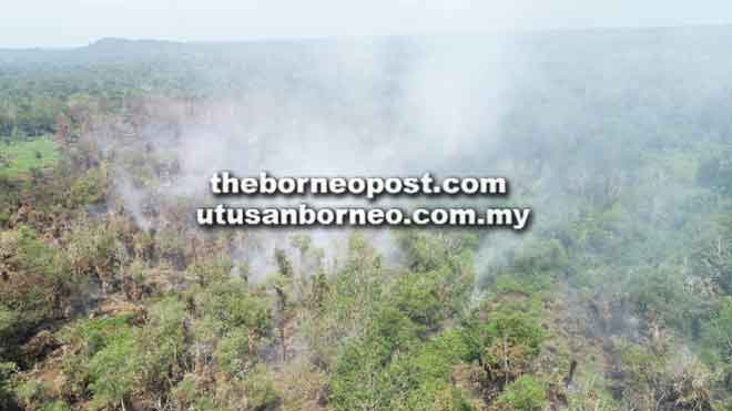  Kawasan hutan di Kampung Lubuk Piasau yang terbakar petang kelmarin.