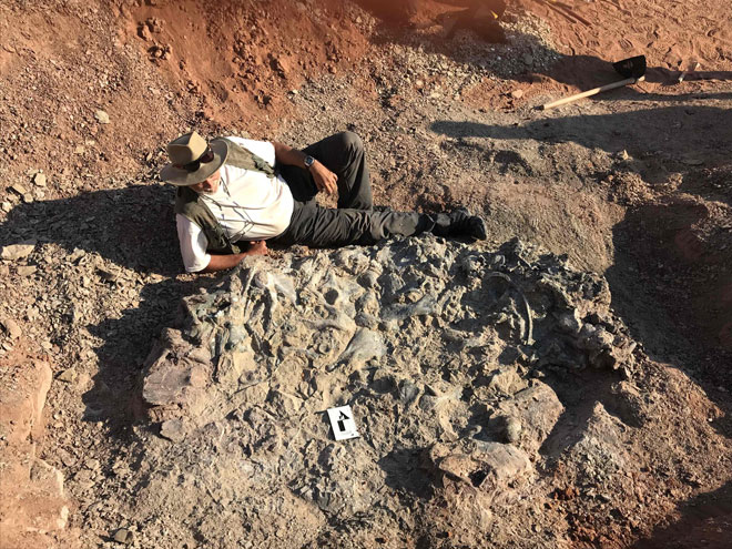  Gambar serahan yang dikeluarkan oleh Institut dan Muzium Sains Asli (IMCN) Universiti San Juan ini menunjukkan Martinez duduk di sisi fosil dinosaur berusia 220 juta tahun             di Taman Negara Ischigualasto dalam wilayah San Juan, Argentina pada 8 April lalu. — Gambar AFP