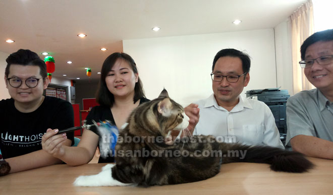  Chong (dua kanan) dan Kelvin (kiri) berkongsi kejayaan Kahlua, kucing milik Cheah (dua kiri) mengharumkan nama Sarawak dalam peta peminat kucing. Turut kelihatan Julian Tan (kanan). 