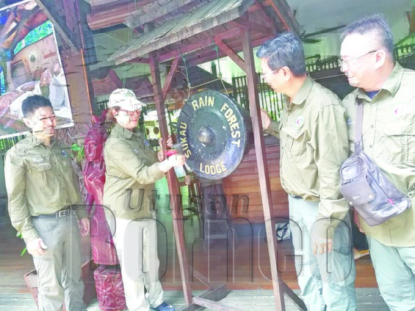 CHRISTINA (dua kiri) memalu gong sebagai gimik rasminya pelancaran Borneo Villa Accommodation dan SERC di Sukau Rainforest Lodge.