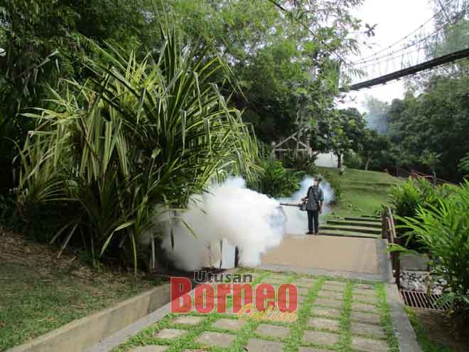  Kakitangan MBM dari bahagian kesihatan awam, melakukan aktiviti pengasapan di kawasan Taman Awam Miri untuk menghapuskan nyamuk aedes.