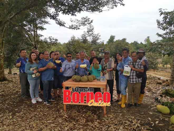 Theng (tengah) merakam kenangan bersama pelawat yang datang mengadakan lawatan ke dusunnya mempelajari teknik penanaman durian Musang King dan Duri Hitam, baru-baru ini.