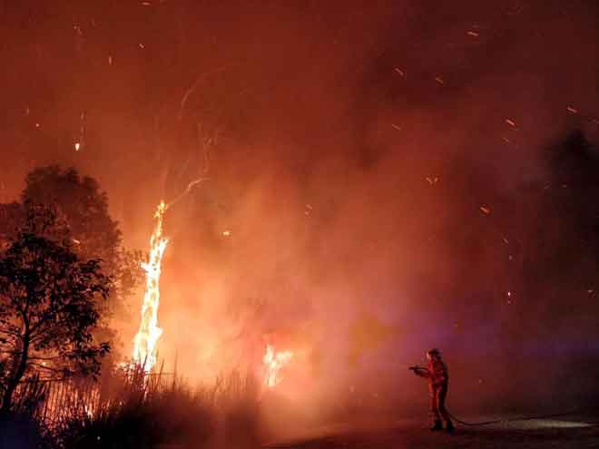  Gambar serahan AAP menunjukkan anggota bomba berusaha memadam kebakaran semak di Peregian Springs di Sunshine Coast, Australia, kelmarin. — Gambar Reuters