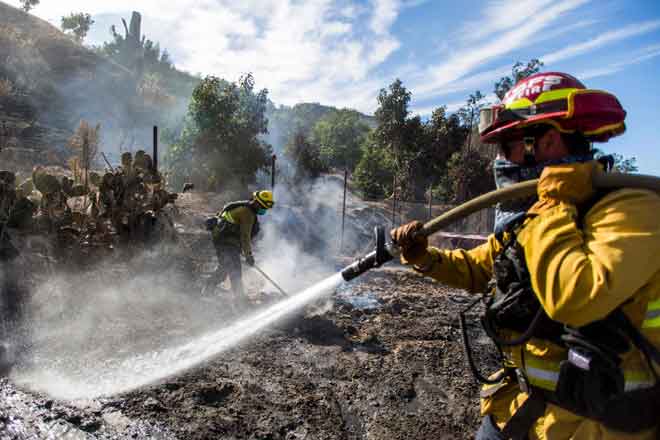  Bomba daripada Santa Fe Springs berusaha mengawal titik Kebakaran Maria, di Santa Paula, wilayah Ventura, California kelmarin. — Gambar Apu Gomes / AFP