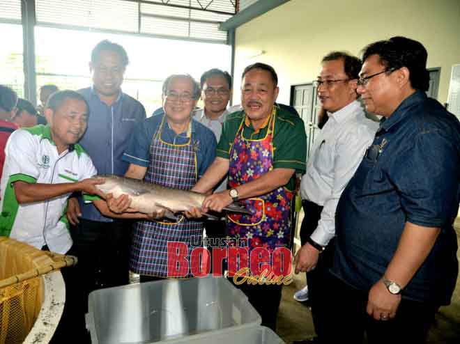  Uggah mandangka ikan emperau seraya disempulang Dr Abdul Rahman, Roland enggau Awang Johari.