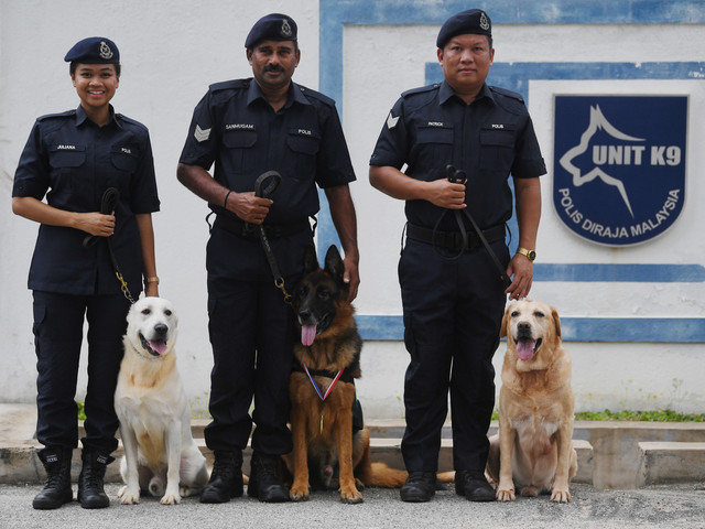 Sarjan S. Sanmugam (tengah) bersama anjing baka German Shepherd dari Unit Anjing Pengesan (K9) Polis Diraja Malaysia (PDRM) mencipta sejarah sebagai anjing pertama menerima pingat ‘Jasamu Dikenang’ bagi polis kontinjen Pahang. - Gambar Bernama 