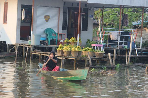  Seorang penduduk sedang berdayung di depan rumahnya.