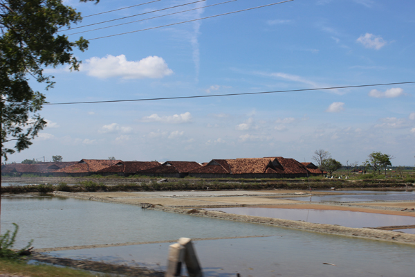  Kolam garam dapat dilihat sepanjang perjalanan ke Rembang.
