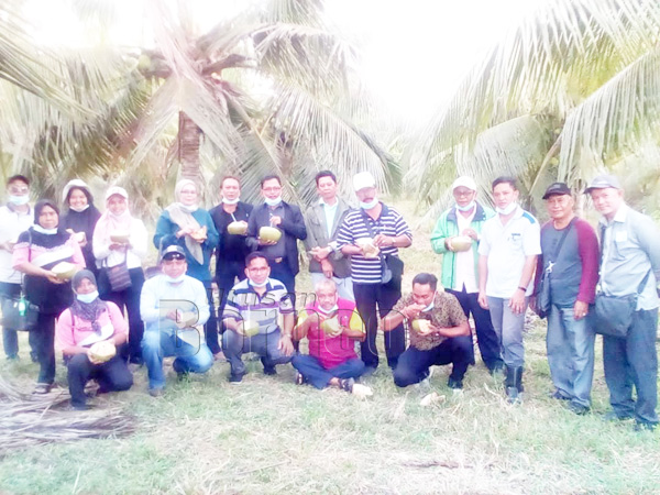  Melawat Projek Tanaman Kelapa  dan Durian di Batu 19 Sandakan.