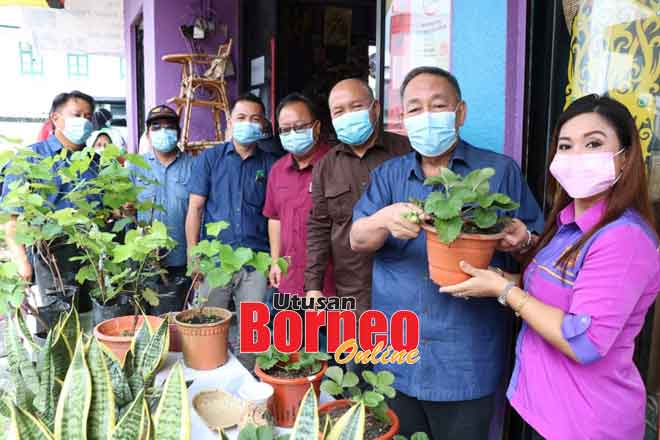  Sagah (dua kanan) melihat pokok strawberi dan anggur ditunjukkan Sijah (kanan) di Sibu.