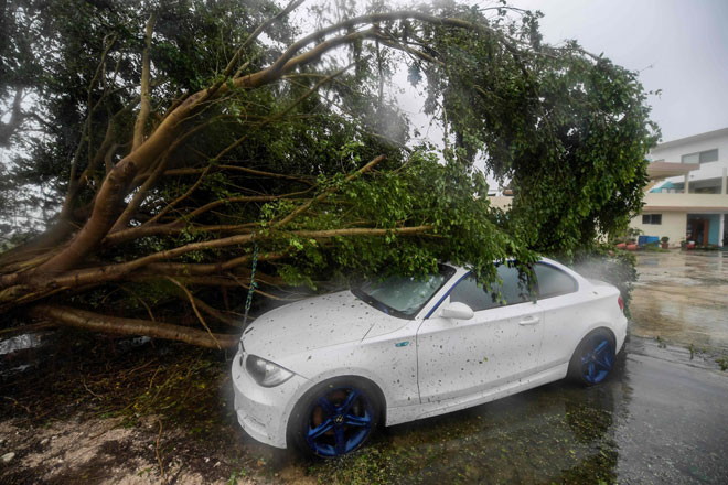  Gambar menunjukkan sebuah kereta ditimpa pokok yang tumbang ketika Taufan Delta membadai bandar Cancun          di negeri Quintana Roo, Mexico kelmarin. — Gambar AFP
