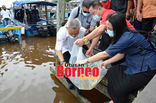  Talib (kiri) bersama Anggang (kanan) dan Hussaini (tengah) melepaskan anak udang galah ke Sungai Kemena sempena Majlis Penyampaian BMTN, BIPPN dan AFF 2020 DUN Jepak, semalam.