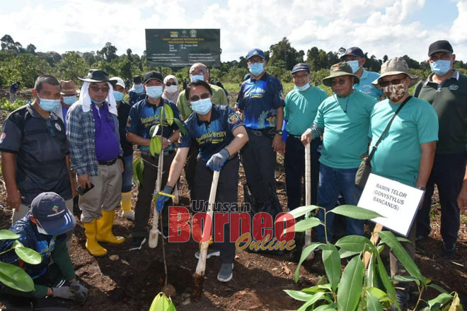  Hamden (tengah) melakukan simbolik penanaman pokok pada Program Restorasi Landskap Hutan FORESSA Wilayah Sibu 2020 di Hutan Simpan Kanowit East semalam.