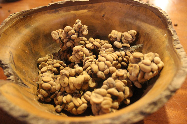  Kopi luwak antara kopi keluaran Pak Iwan.