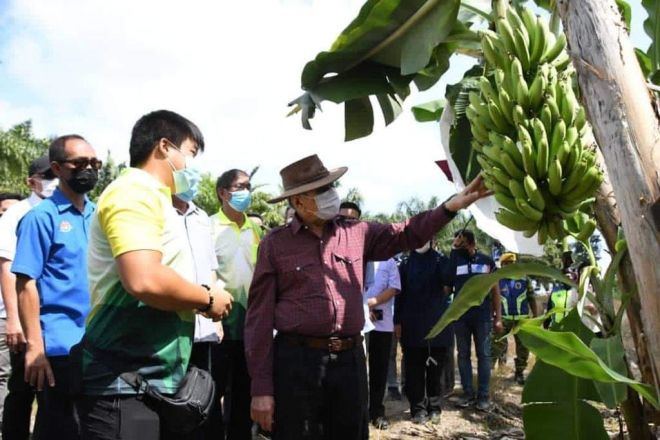 melawat ladang pisang milik Koperasi Penduduk Daerah Asajaya Berhad, di sini hari ini.