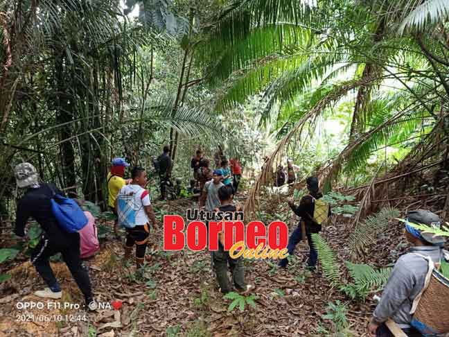  Operasi SAR dilancarkan untuk mengesan seorang wanita yang dilaporkan hilang ketika mencari hasil hutan di Bukit Tugung, Nanga Lijan, Julau.