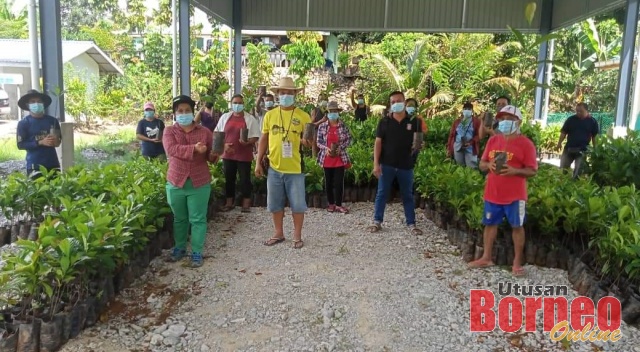 Midia (dua kiri) bersama peserta tanaman kopi dari Kampung Tringgus Bong dibekalkan dengan 304 anak benih kopi setiap peserta. 